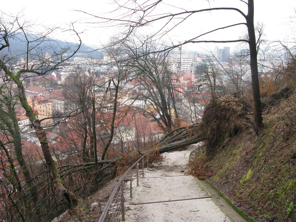 Sanacija ljubljanskih ulic in parkov po načrtu, Gradu pa ne