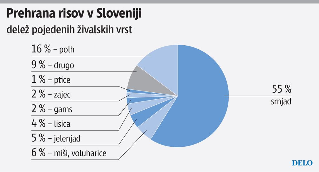 Krofel: Lov risa na srne je v interesu srn