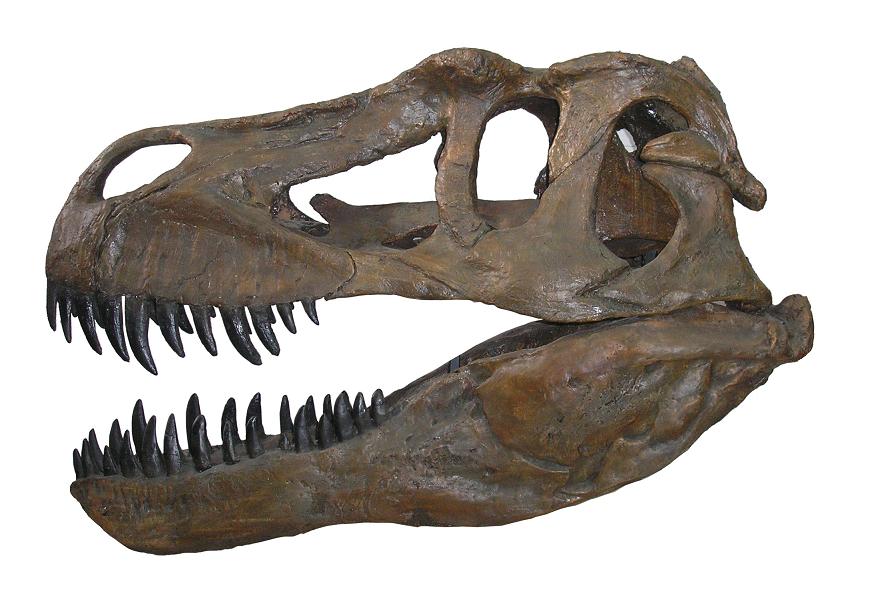 Descoberto o maior dinossauro carnívoro da Europa
