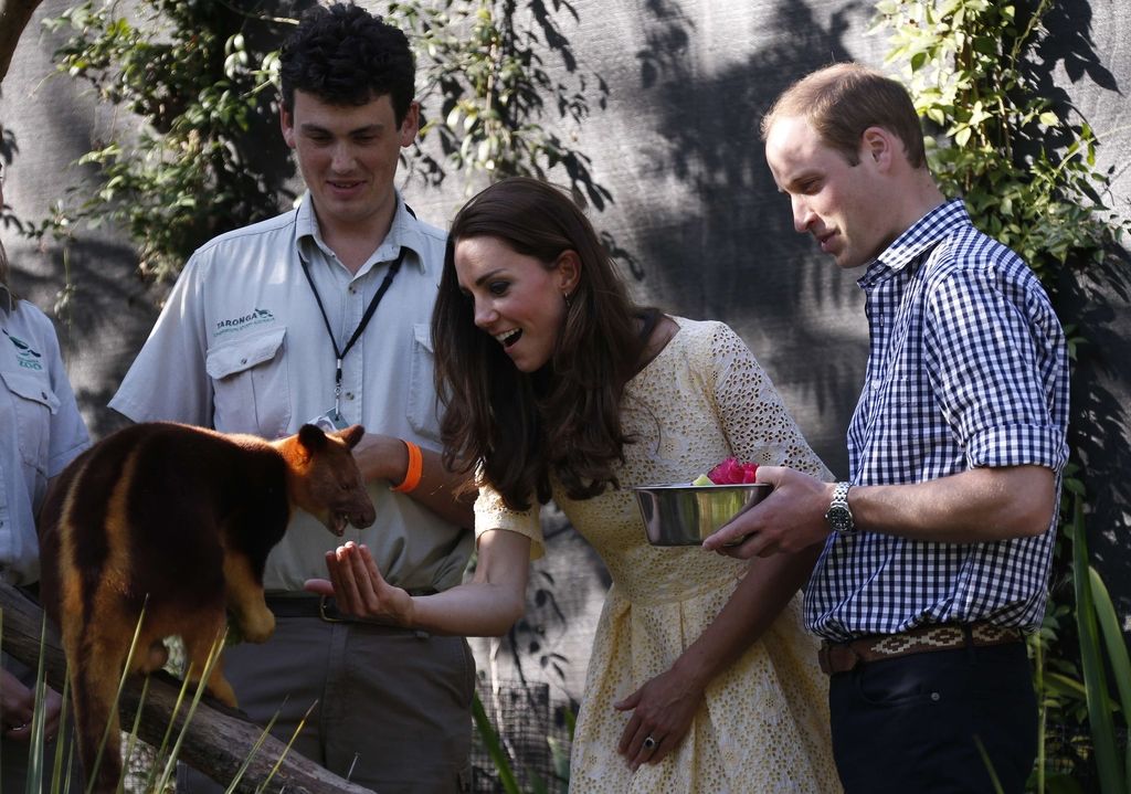 Princ George obiskal živalski vrt v Sydneyju
