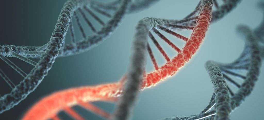 Slovenski raziskovalci prvi odkrili strukturno raznolikost DNK