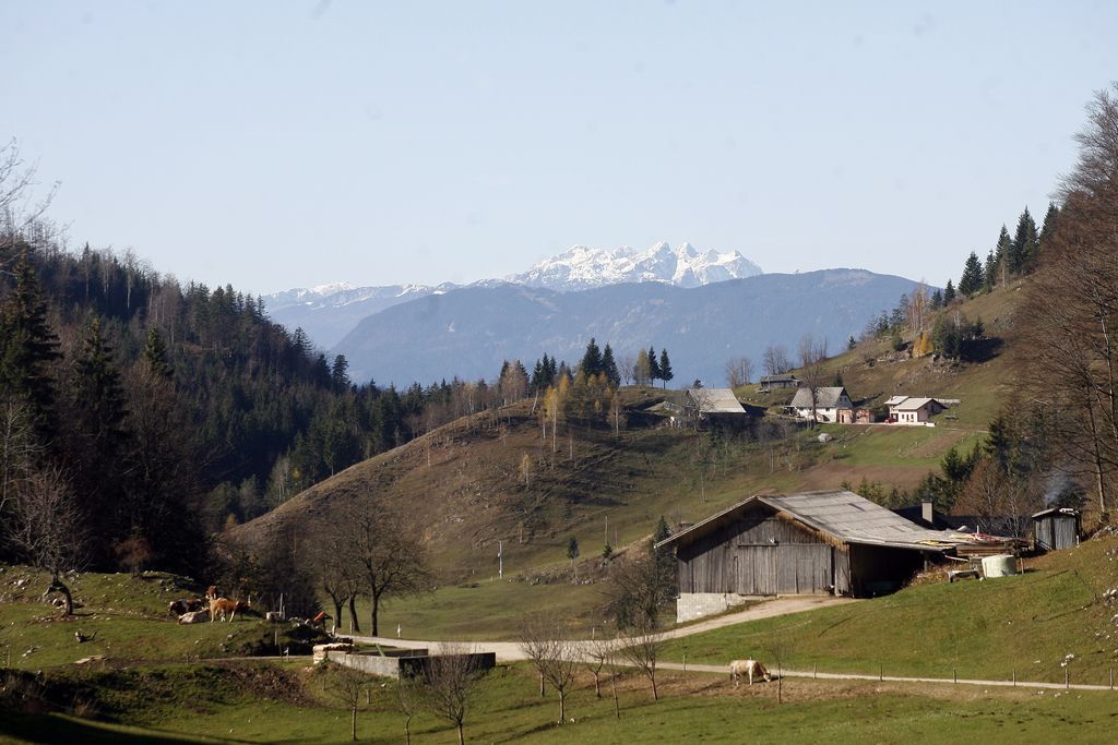 Slovenska kmetica leta 2014 je Korošica Milka Podričnik