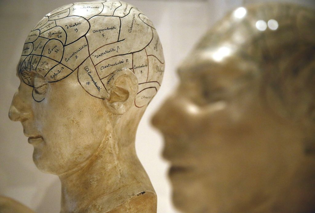 Razvoj možganov teži k človekovemu udobju