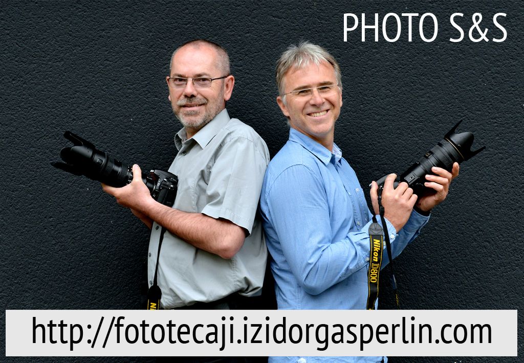 Fotografija tedna: Iva Krapež