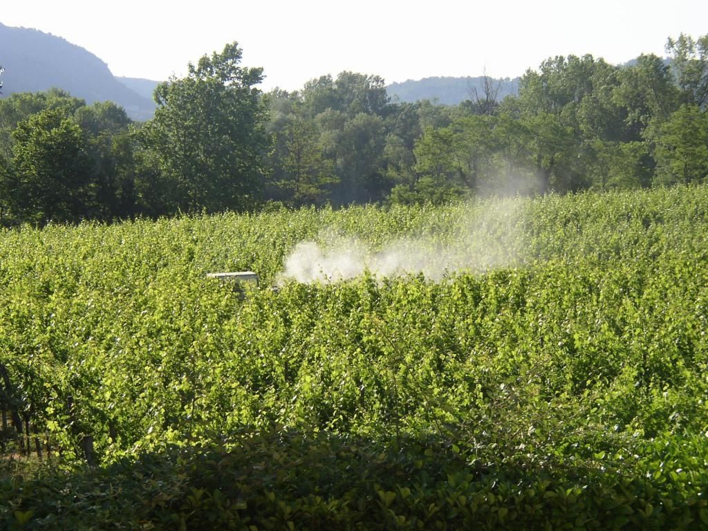 Odkrili povezavo med avtizmom in pesticidi