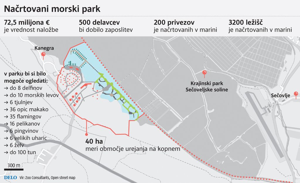 Hrvati bi v Piranskem zalivu zgradili morski živalski vrt ... z delfini