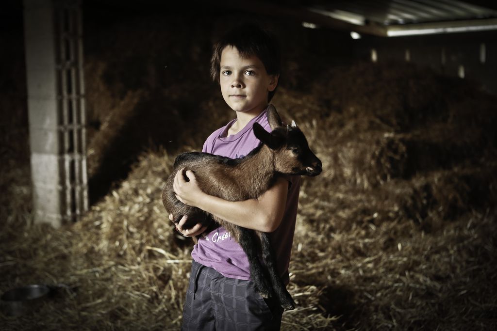 Kapricaste vegetarijanke, ki  so nore na vrtnice