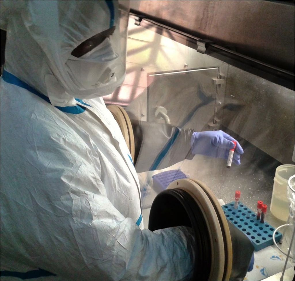 Skrbi in uganke, ki jih sproža prebujeni virus ebola