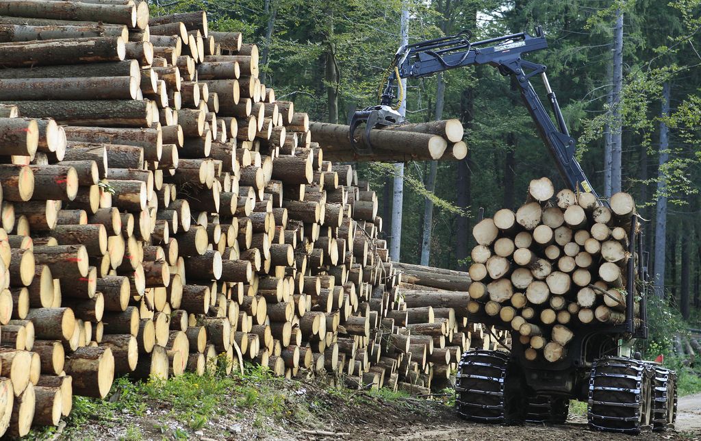 Brez robotov bi gozdove čistili desetletje