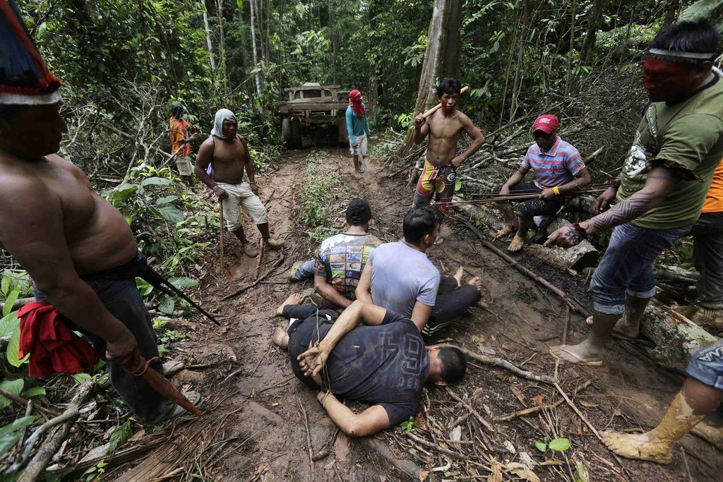 Amazonski bojevniki v boju s sečnjo na črno
