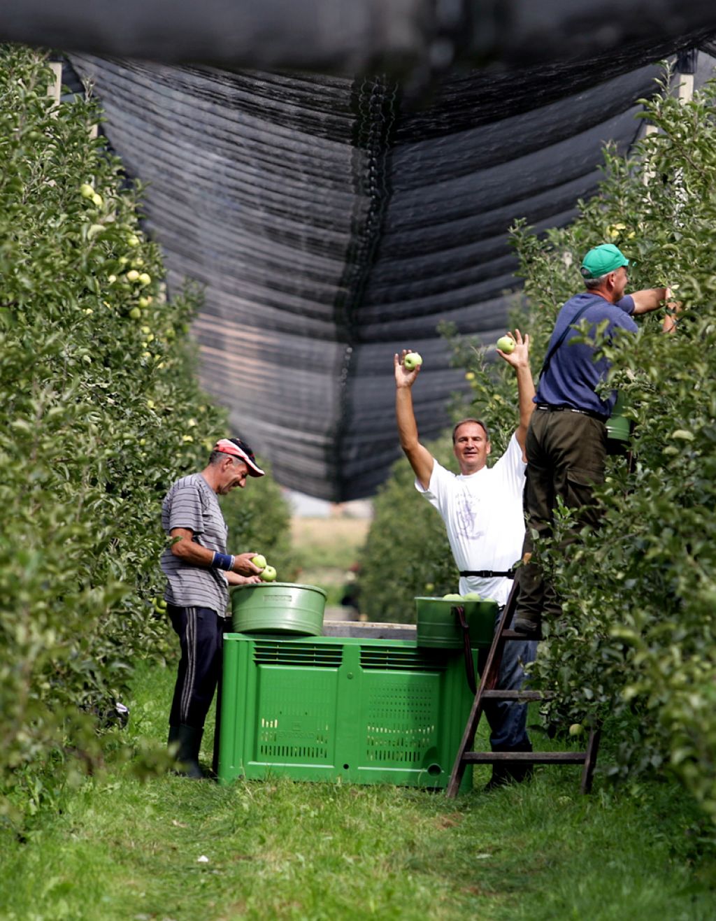 Brezposelni že konkurirajo Romunom in Bosancem