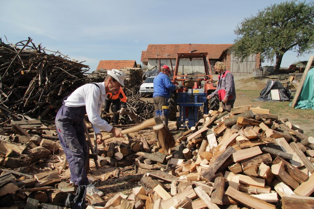 Deloindom: Mariborčanom brezplačen les za kurjavo