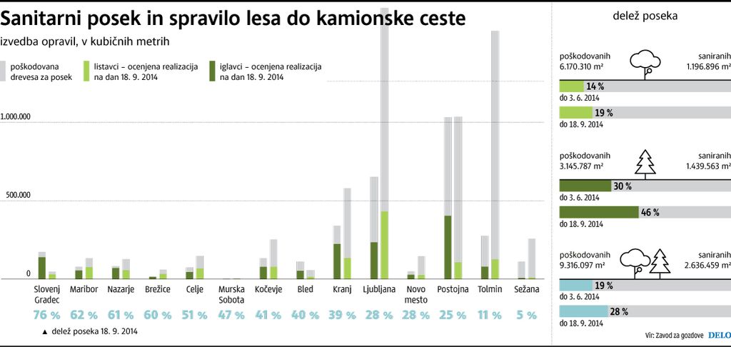 S sedanjim tempom še dve leti za sanacijo gozdov