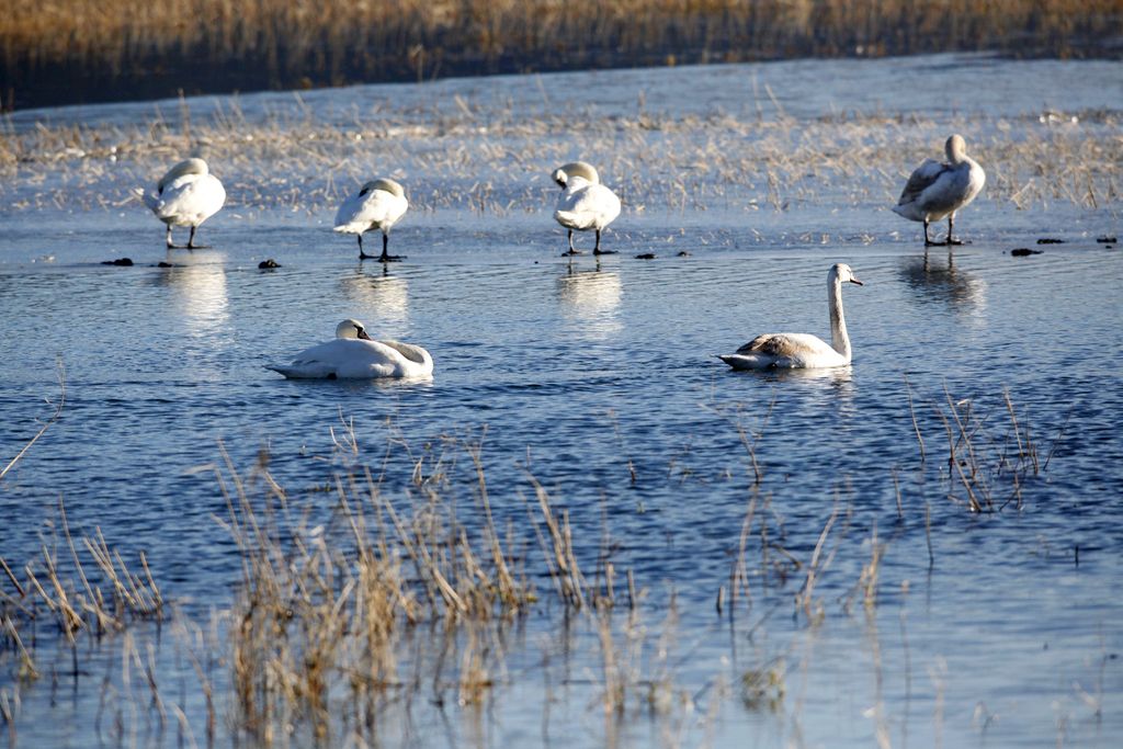 Cerkniško jezero: s čolnom nič več kamorkoli