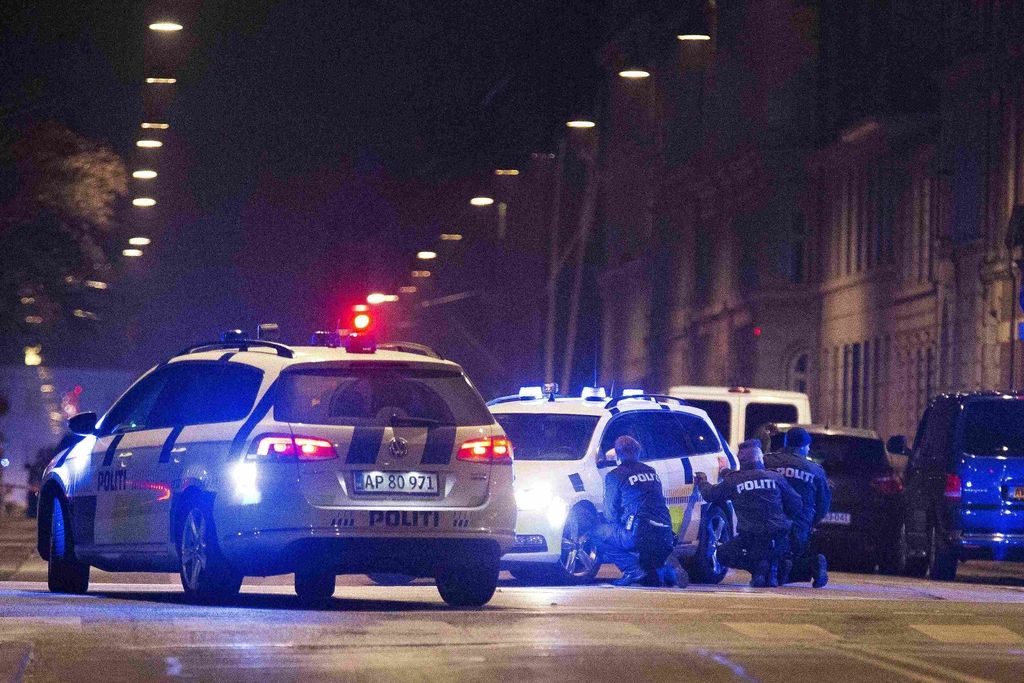 Policija za napad osumila na Danskem rojenega 22-letnika