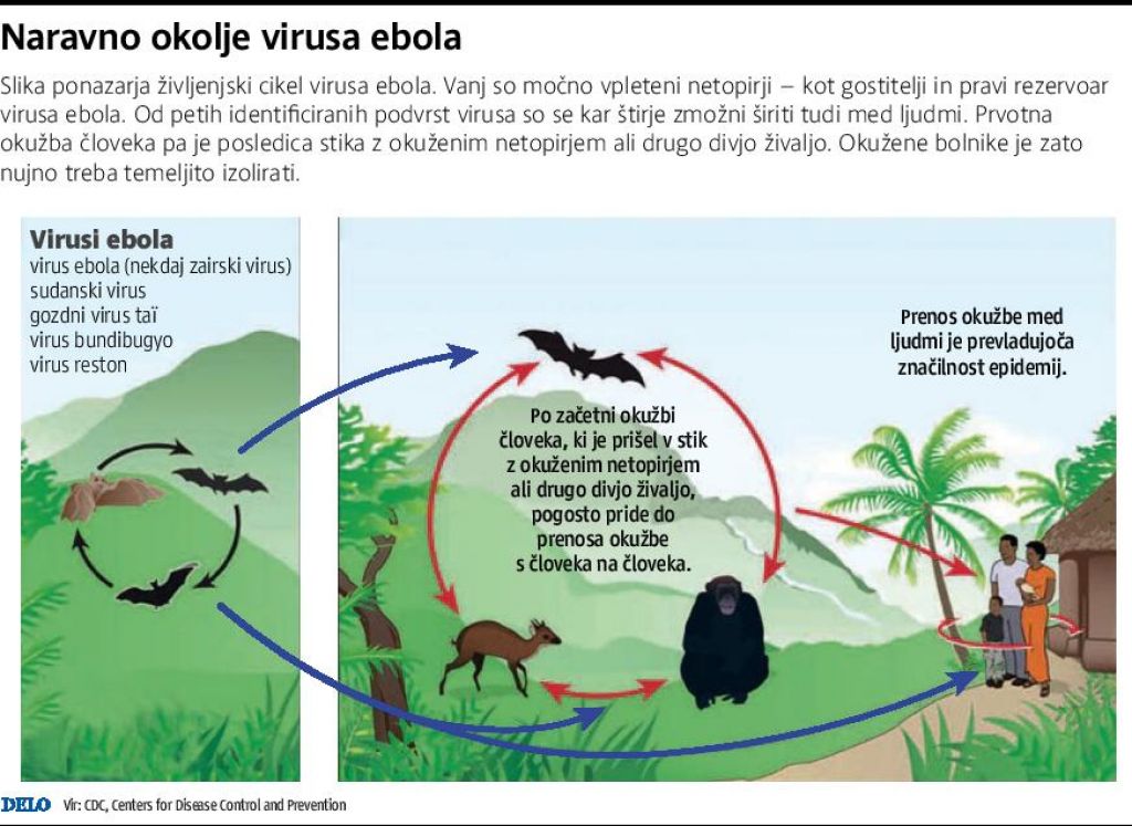 Prvi testi na ebolo v Ljubljani negativni
