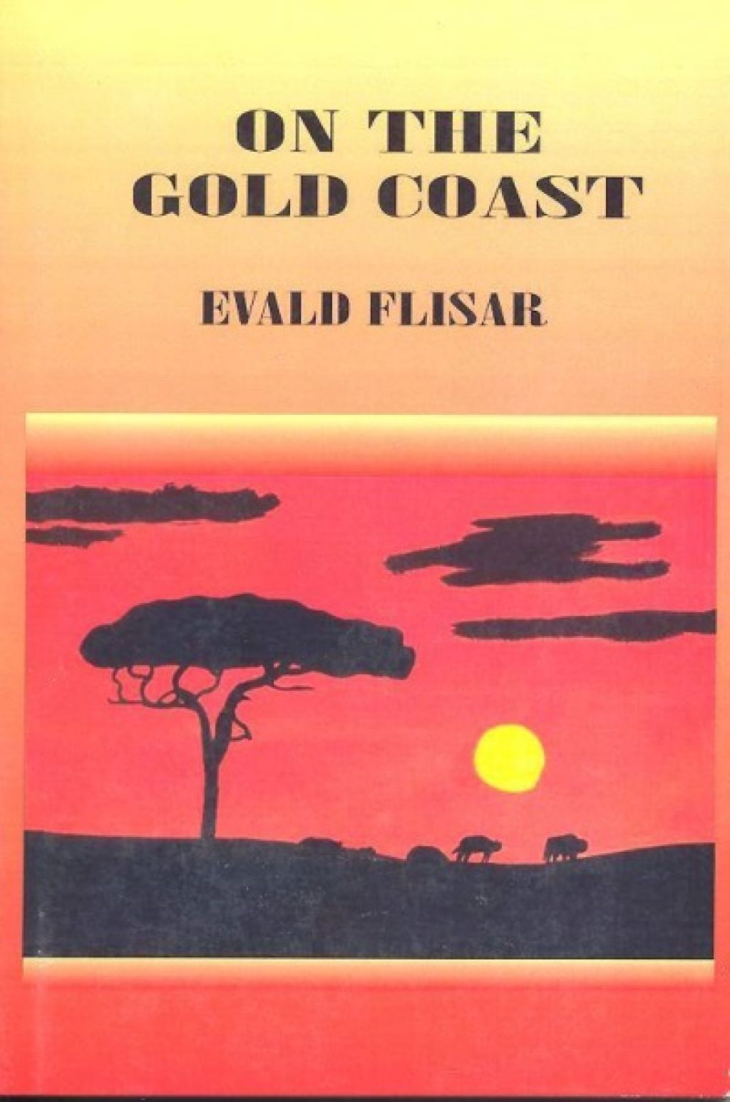 The Irish Times: Flisarjev roman med 13 najzanimivejšimi deli o Afriki
