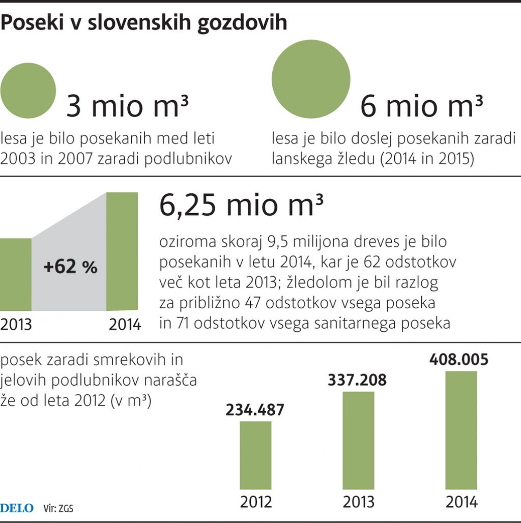 Vročina je segrela krila lubadarjev