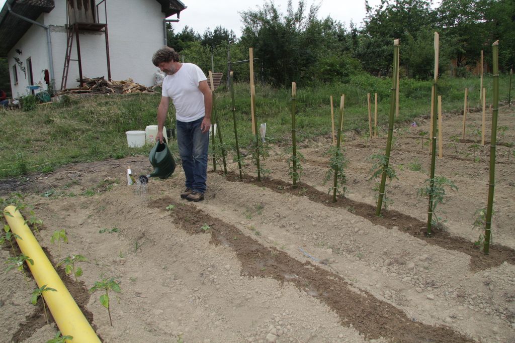 V Prosenjakovcih nastaja nova ekosocialna kmetija