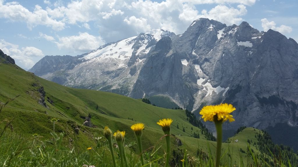 Alpe - laboratorij dobrih praks zelenega gospodarstva
