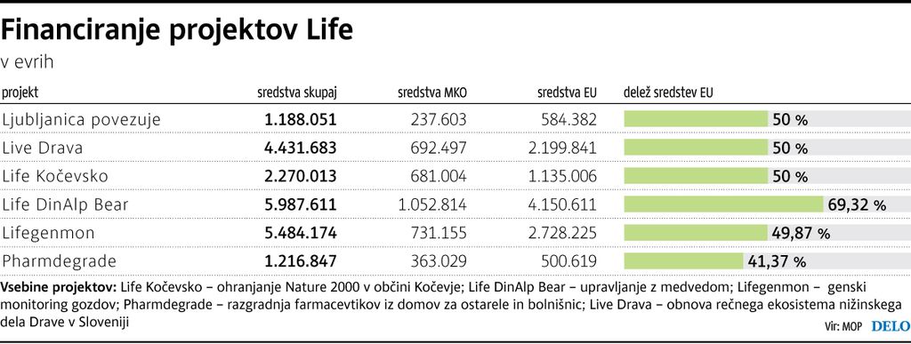 Med čakanjem na evropski denar ris lahko izumre