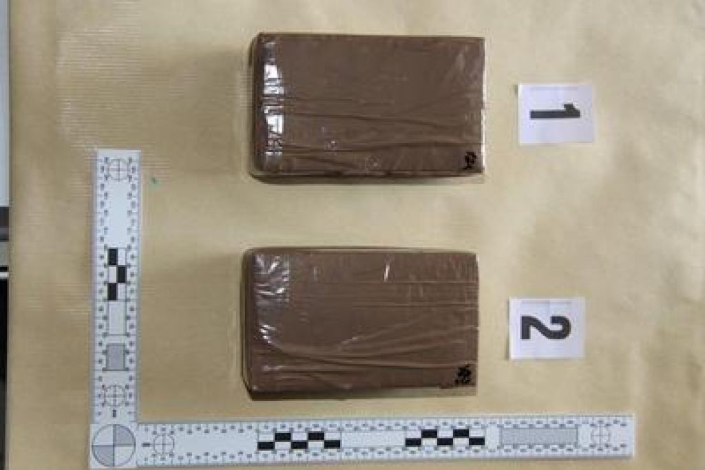 Gorenjski in avstrijski policisti razbili mednarodno mrežo tihotapcev mamil