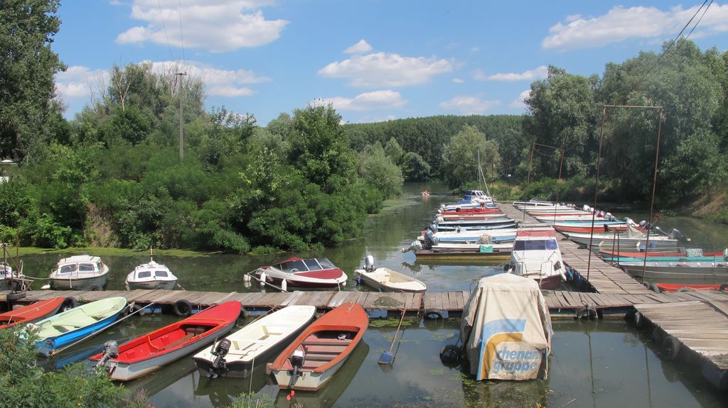 Ko iz shrambe prinesejo pálinko, je v pokrajini spet veselo