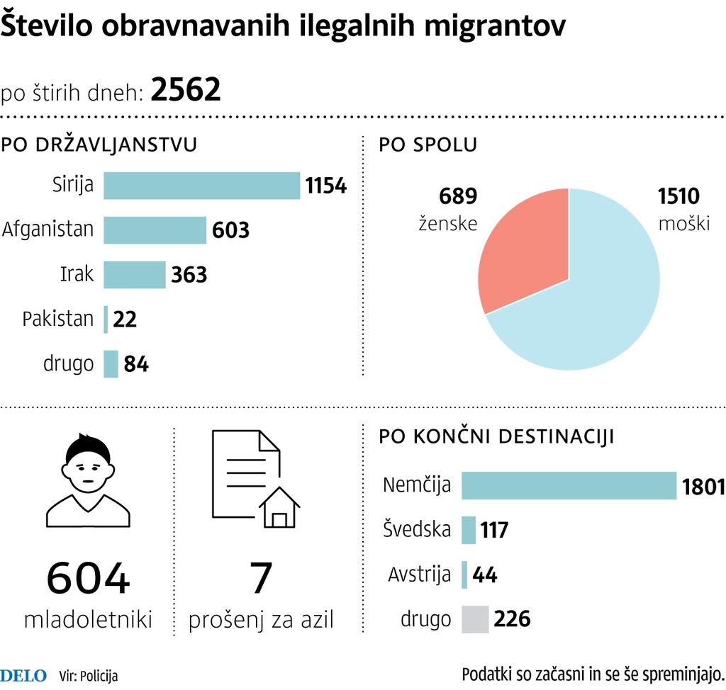 Migranti so organizirani, imajo dobro socialno mrežo