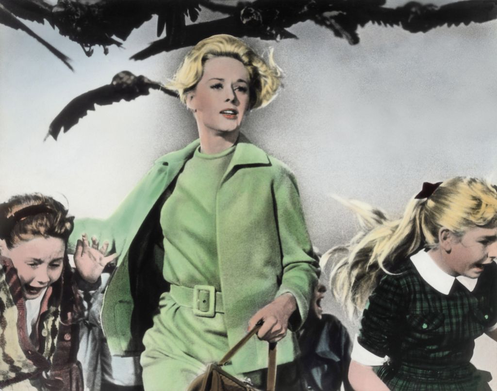 Živalskost na dunajskem filmskem festivalu