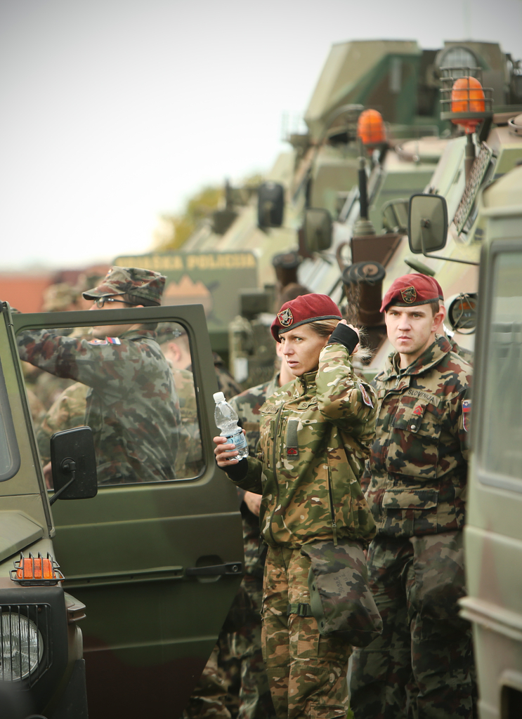 La Slovénie enverra jusqu’à dix soldats au Mali