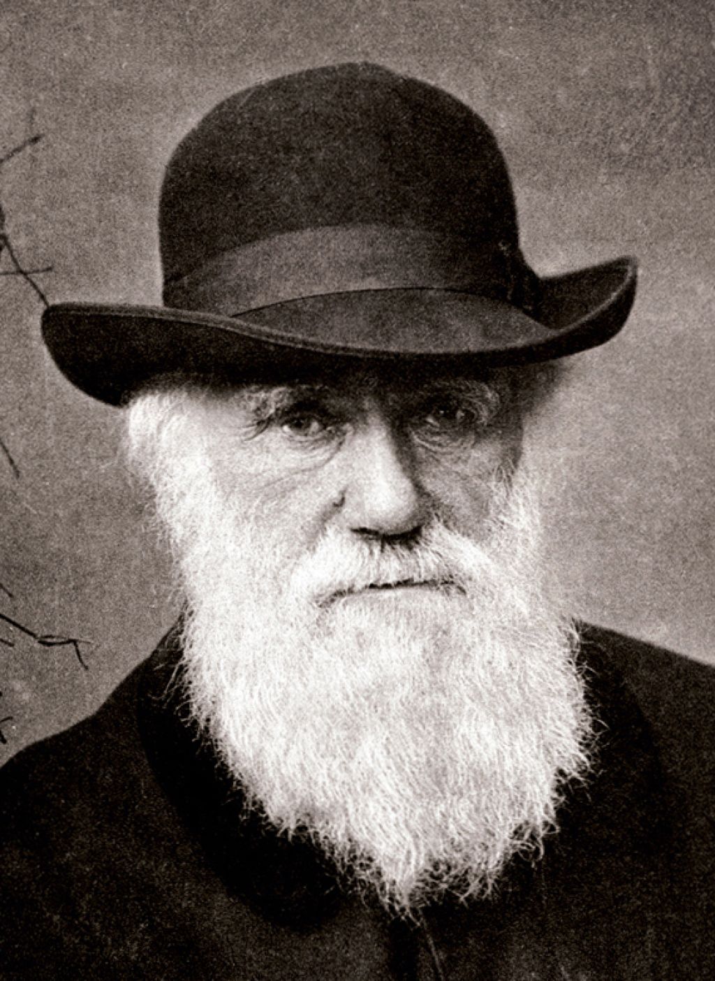 Knjižni kalejdoskop: prva predsednica Pena, Darwin in najboljše letošnje knjige