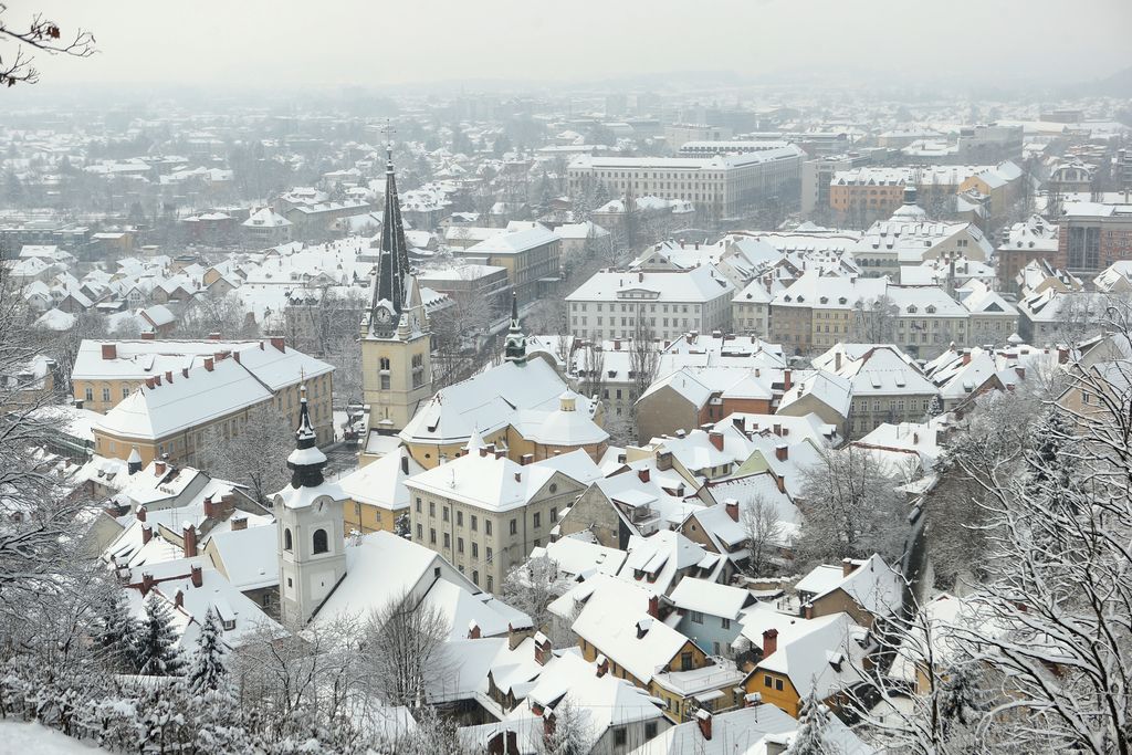 Slovenijo je prekrila snežna odeja