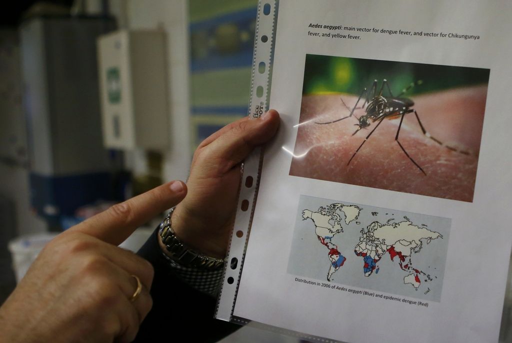 Kaj morate vedeti o virusu zika