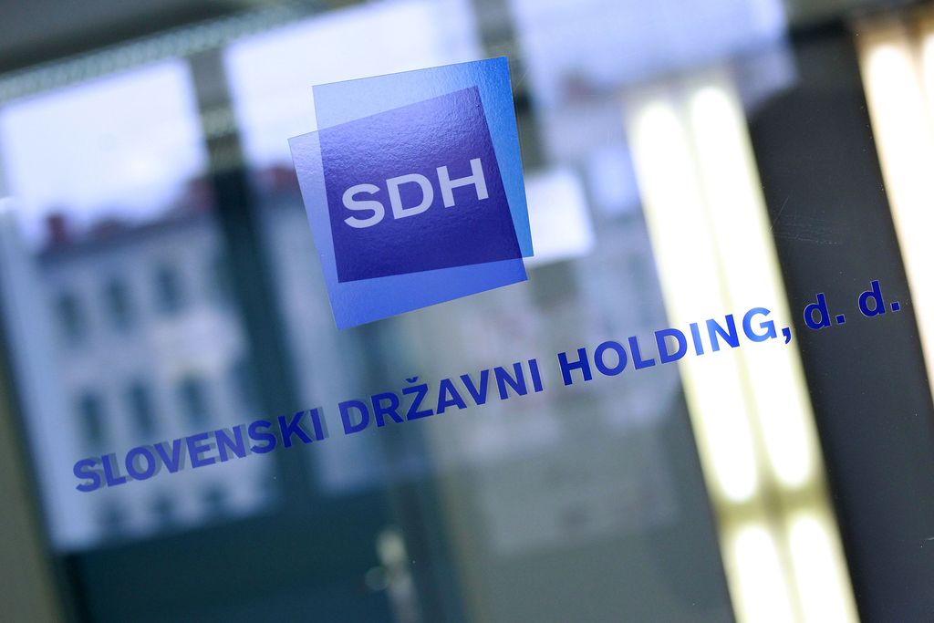 SDH bi za dividende namenil polovico dobička družb
