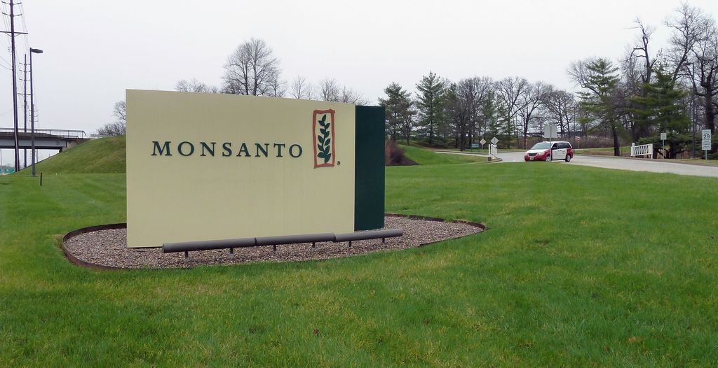 Bayer za 62 milijard dolarjev kupuje Monsanto