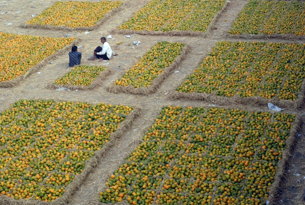 Svet so ljudje: V boj s sušo s pomarančnimi olupki