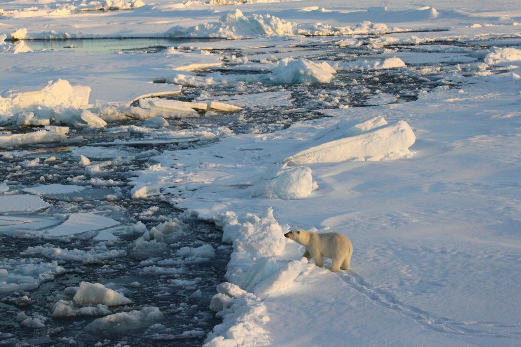Migracijska kriza na Arktiki – prezrta, a daljnosežna