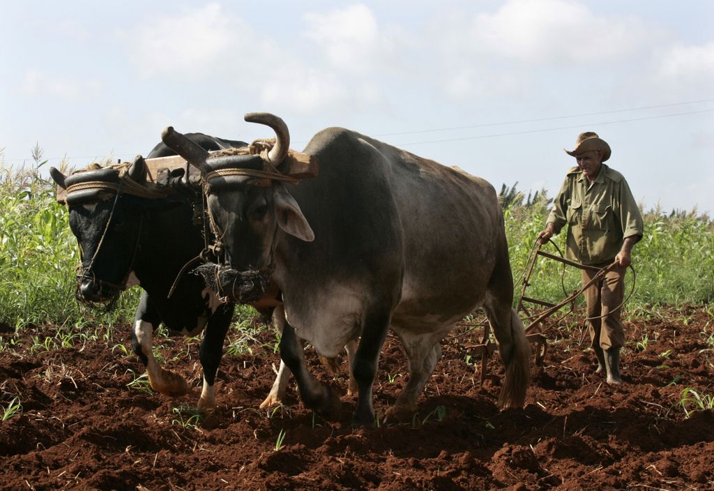 Fotogalerija: Castrova Kuba