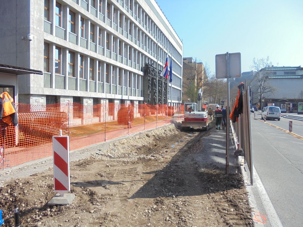 Vožnje v enosmerno Vodnikovo ustavili šele redarji