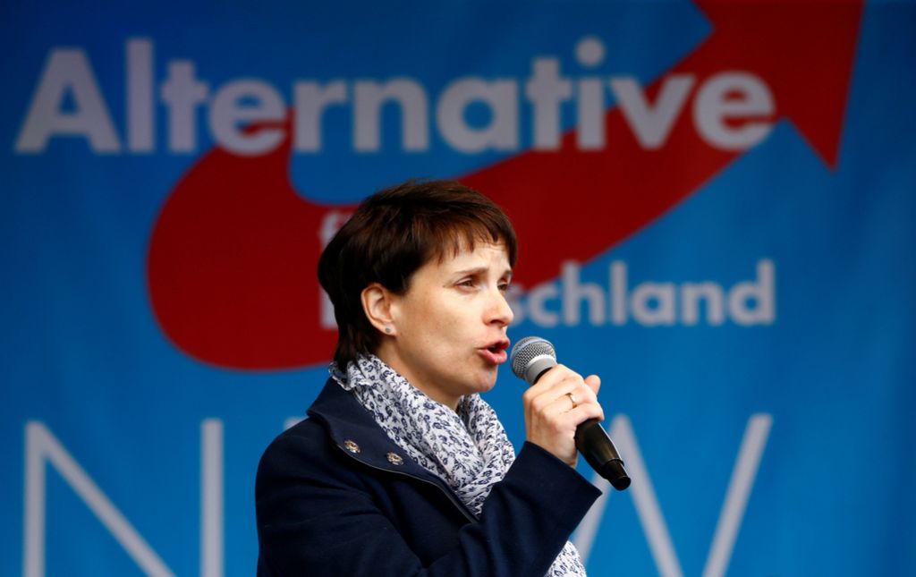 Nov razcep v desničarski Alternativi za Nemčijo