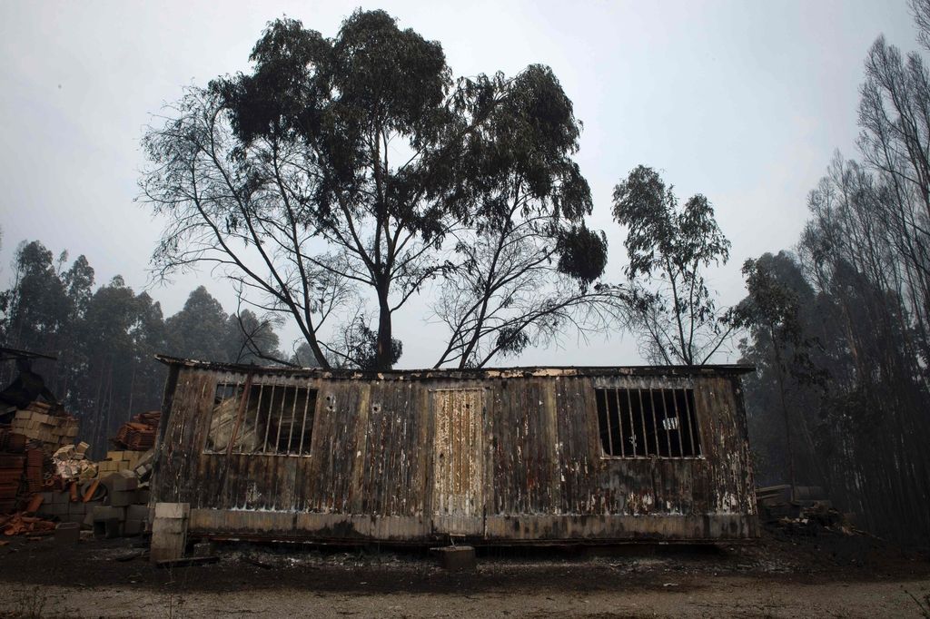 Portugalski gasilci še vedno bijejo bitko z uničujočim gozdnim požarom