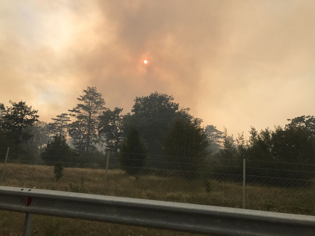 Požar ob železnici Divača−Rodik pod nadzorom