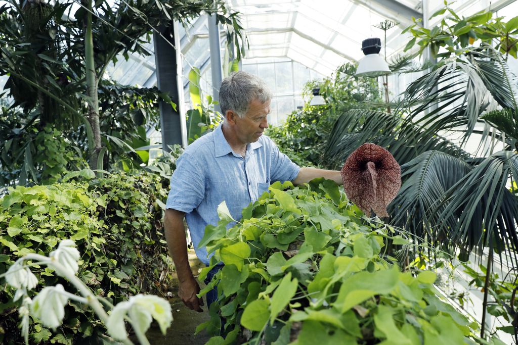 Inšpekcija botaničnemu vrtu prepoveduje rabo vode