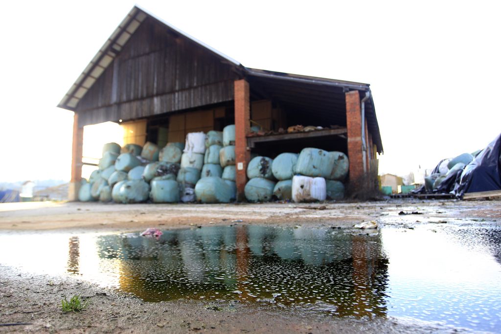 Odpadke, ki jih »nihče noče«, pomaga čistiti tudi okoljska ministrica