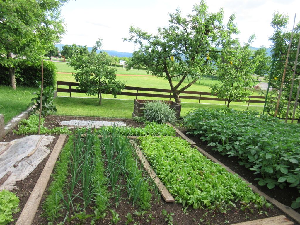 Deloindom: Vrtna svetovalnica - priprava tal in kolobar