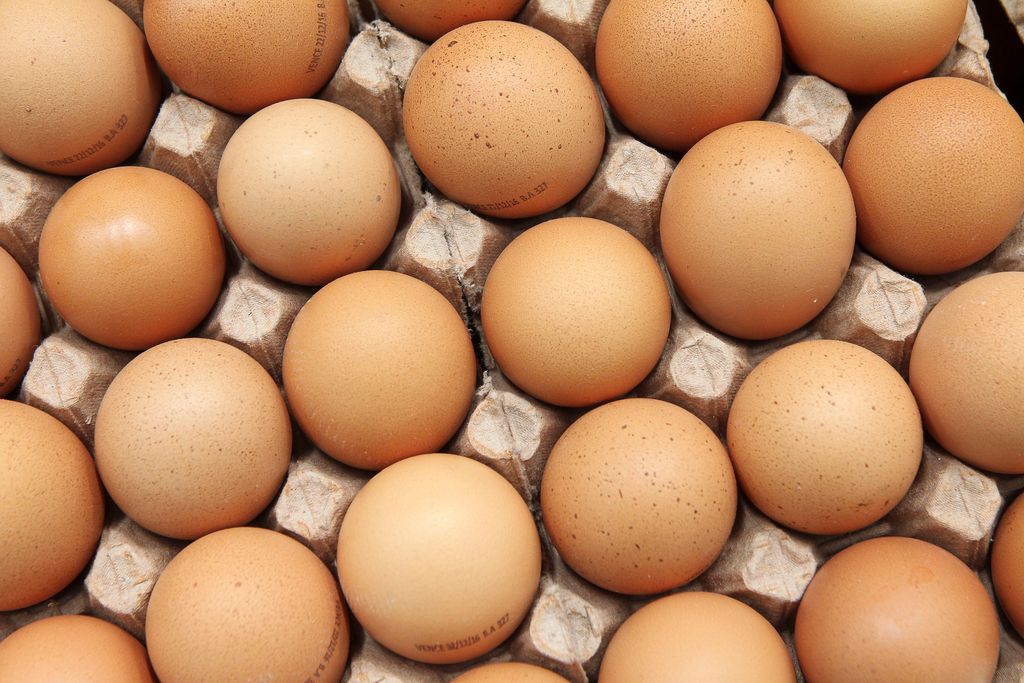 Koliko jajc prenesemo?