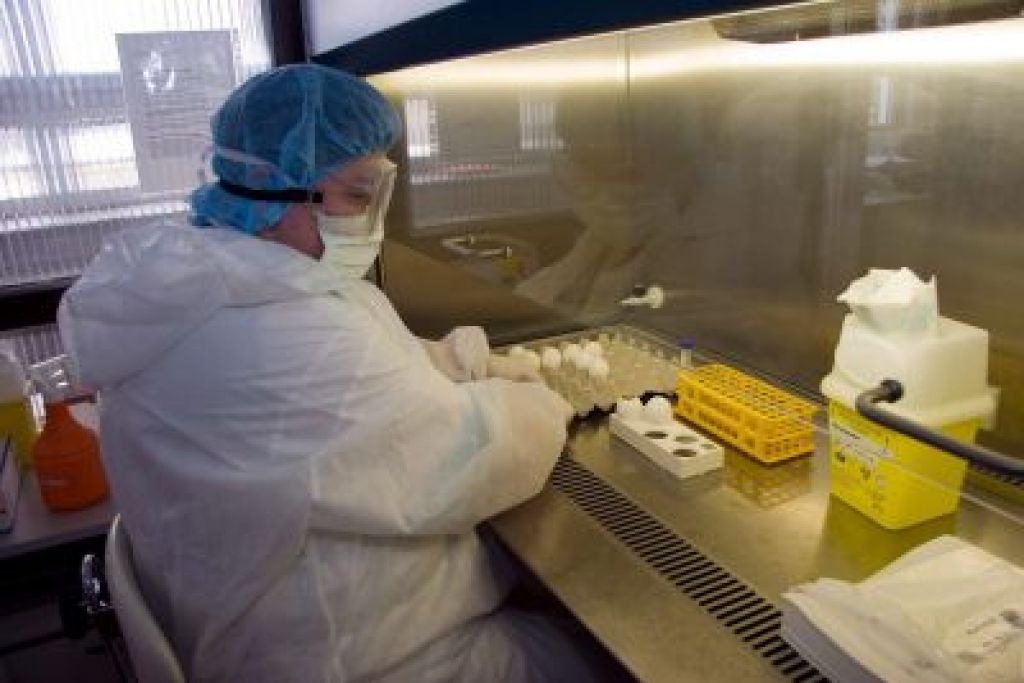 Potrjen prvi primer ptičje gripe na Češkem