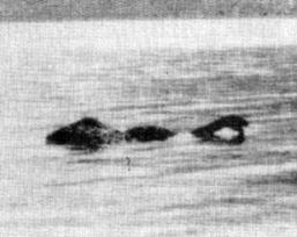 Nessie po novi teoriji cirkuški slon