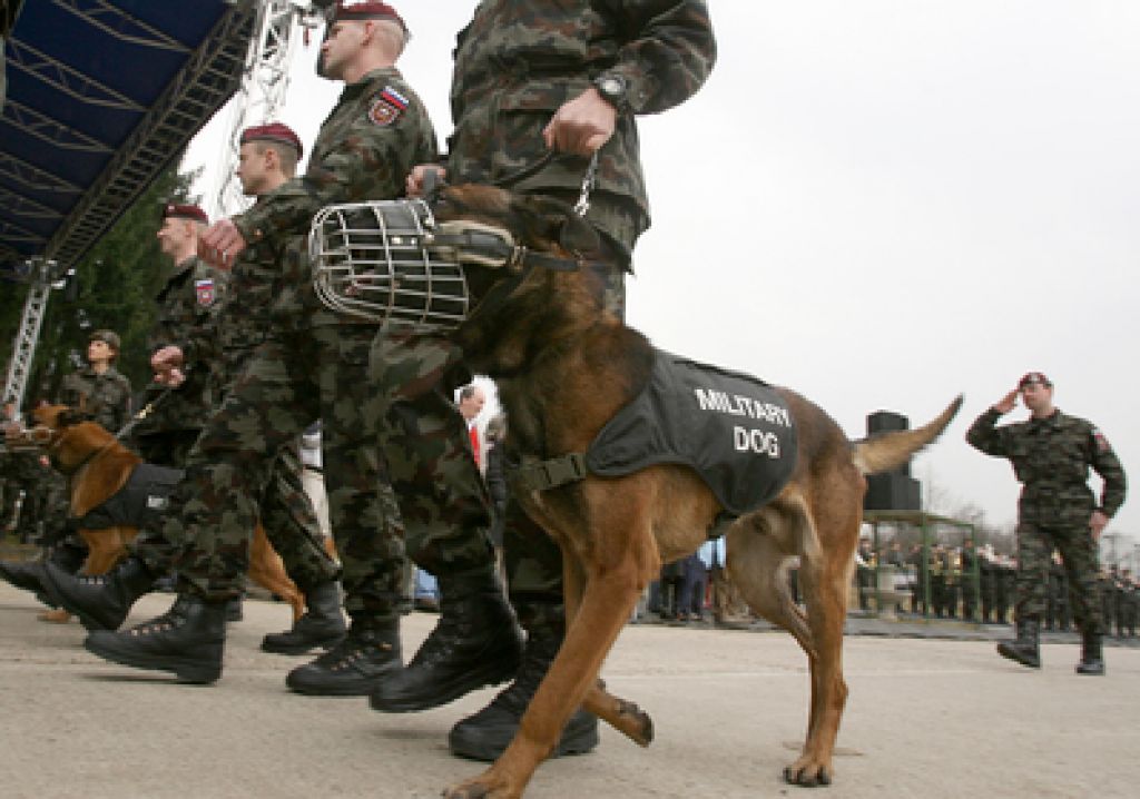 Slovenski vojaki odhajajo na Kosovo