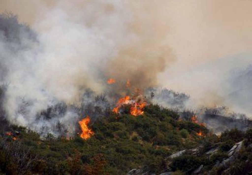 Požar z otoka Evia pregnal 600 turistov